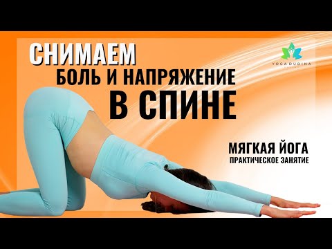 Видео: Мягкая йога от Болей в Спине и Мышечного Напряжения. Практическое занятие в Прямом эфире
