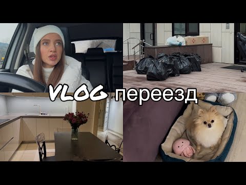 Видео: У нас снова переезд на другую квартиру, ЖК Панорама 🏠