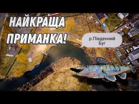 Видео: Найкраща приманка по судаку! Судаки на р. Південний Буг.
