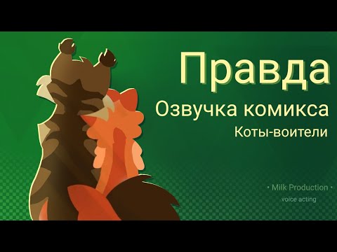 Видео: Правда | Фан Коты-Воители | Озвучка комикса на русском 🍃