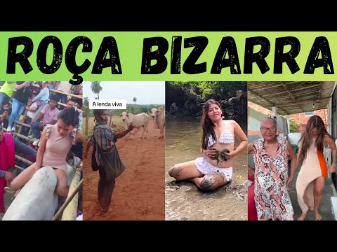 Видео: Садовые причуды: самые странные вещи в интерьере!