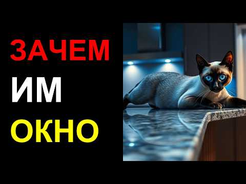 Видео: 🐱 ПОЧЕМУ кошки НЕ МОГУТ оторваться от окна 7 УДИВИТЕЛЬНЫХ причин!