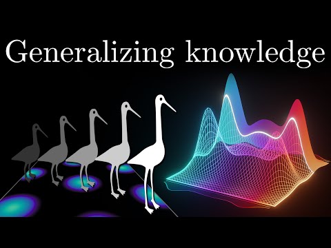 Видео: Как ваш мозг организует информацию