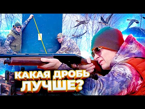 Видео: Какую дробь выбрать для охоты. Дробь или Картечь. Тест номеров дроби.