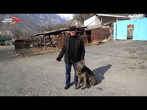 Видео: Уынал I Фӕрдгуытӕ