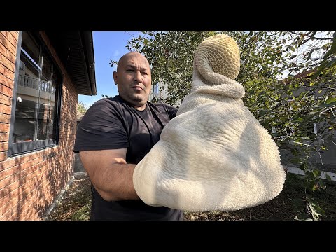 Видео: Требуха (Рубец) начинённый ,Хинкал на соде 👍🏻