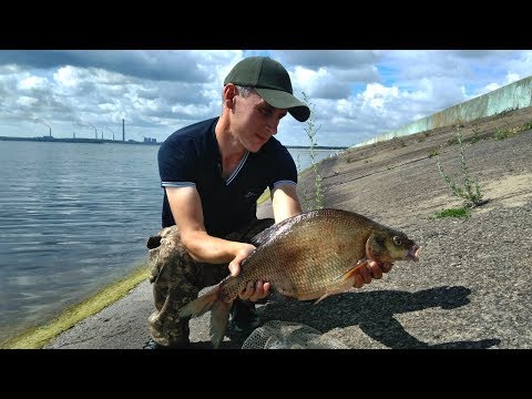 Видео: Ловля Крупного ЛЕЩА. Матырское водохранилище. (LiveFishing)
