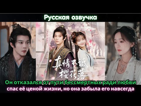Видео: Он отказался от пути бессмертных ради любви, спас её ценой жизни, но она забыла его навсегда