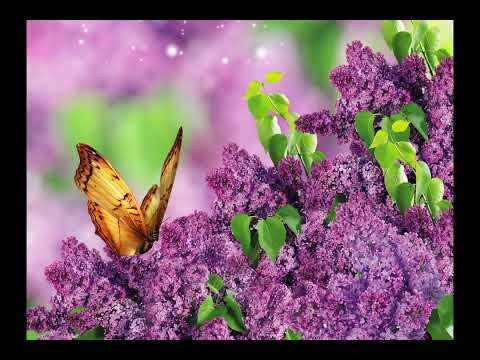 Видео: Поль Мориа. Музыка из кинофильма "Был месяц май". Paul Mauriat. #михаилрадищев