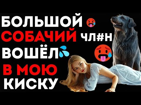 Видео: Мужчина не смог, но пёс показал, что такое настоящая любовь.