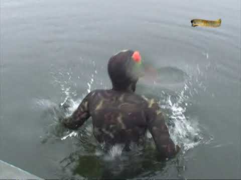 Видео: Подводная охота (А.Кочубей): Амазонки. Встреча вторая. Юля.