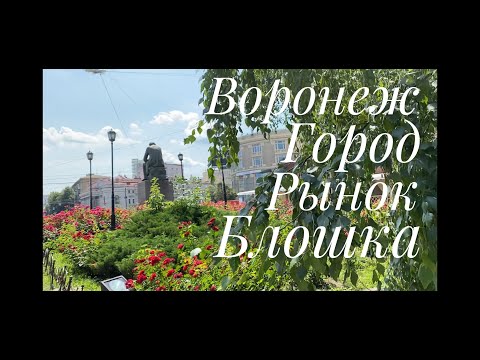 Видео: Влог Воронеж. Прогулялись по городу, сходили на блошку, зашли на рынок.