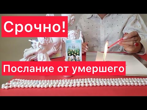 Видео: ❌Ушедший человек 😳принес вас срочное  сообщение‼️