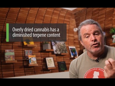 Видео: Кевин Джодри: Идеальные параметры пролечки каннабиса / Ganjier