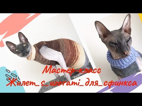 Видео: Жилет для сфинкса спицами #жилет_s_uzorami_для_сфинкса