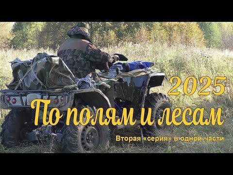 Видео: По полям и лесам - 2025. Вторая серия