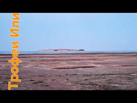 Видео: ✅️ Приехал на рыбалку, а воды не нашёл#Капчагай 