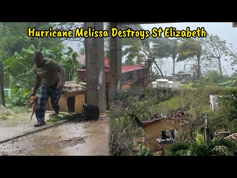 Видео: Ураган Мелисса опустошил Сент-Элизабет | Когда мы восстановимся?