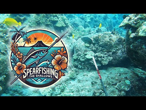 Видео: Подводная охота на мелководье Большого острова Гавайи — 3-х зубцовая сессия, ловля и приготовление