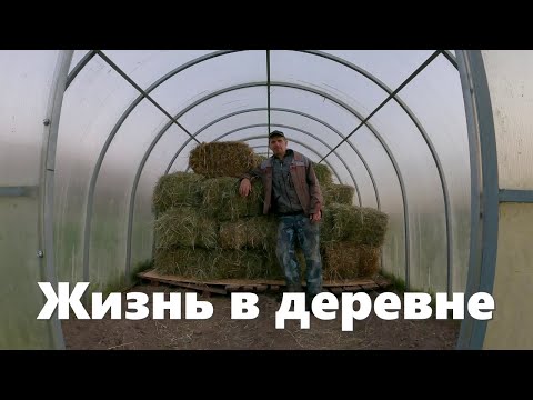 Видео: Подкупили сена в кипах, засыпаем потолок и деревенские будни сентября!
