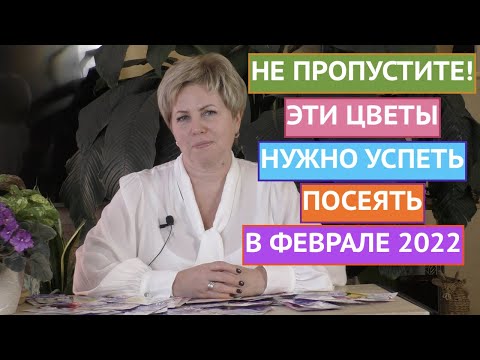 Видео: ЧТО ПОСЕЯТЬ В ФЕВРАЛЕ? ЦВЕТЫ! СЕЗОН 2022!