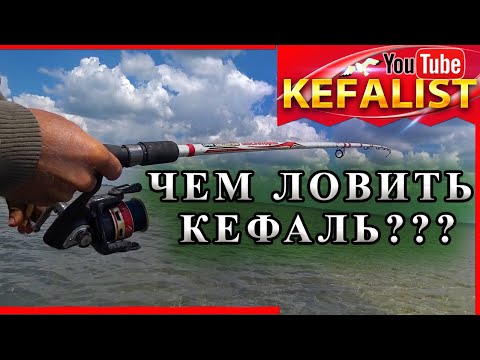 Видео: Спиннинг для рыбалки на кефаль: фидер, ультралайт. Как выбрать удилище для рыбалки с берега и заброд