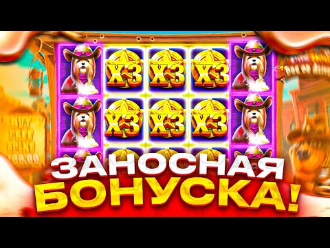 Видео: ПОЙМАЛ 1000X В НАШЕМ ВСЕМИ ЛЮБИМОМ THE DOG HOUSE DOG OF ALIVE!!ЖЕСТКИЙ ЗАНОС ПО БОЛЬШОЙ СТАВКЕ!!