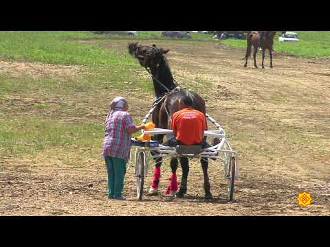 Видео: 11.Чунçÿрев-2012. Алтай. Эл Ойын. Урхамахсен ăмăртăвĕ