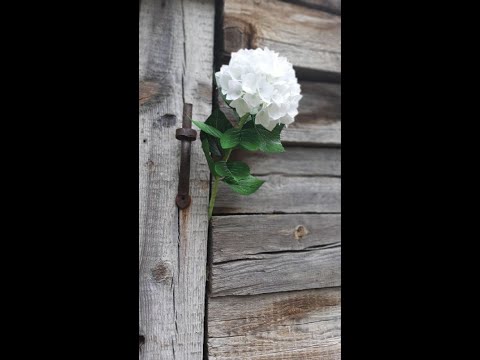 Видео: ГОРТЕНЗІЯ з зефірного фоамирана\HYDRANGEA from marshmallow foamiran