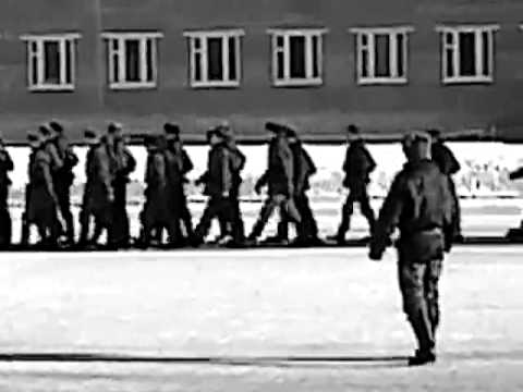 Видео: Год за годом