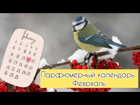 Видео: ПАРФЮМЕРНЫЙ КАЛЕНДАРЬ | АРОМАТЫ ФЕВРАЛЯ