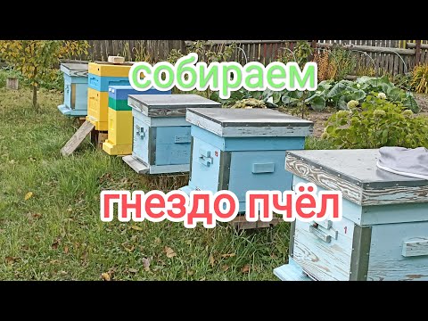 Видео: Сборка гнезда пчёл в зиму! Пчеловодство!