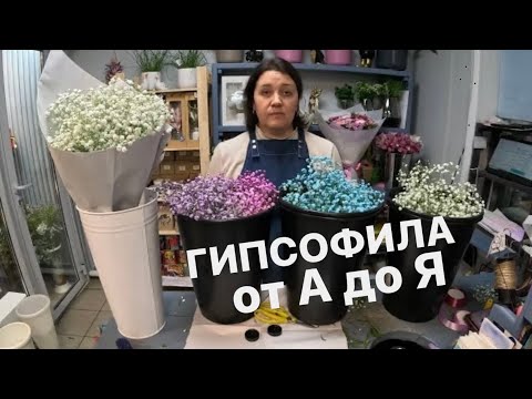 Видео: 🌷 Как я работаю с Гипсофилой | Раскрываю все секреты!