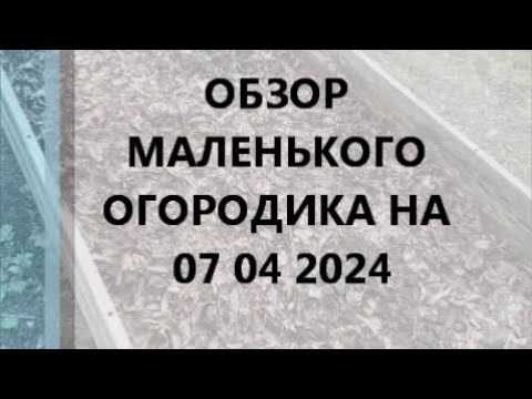 Видео: ОБЗОР МАЛЕНЬКОГО ОГОРОДИКА НА 07 04 2024