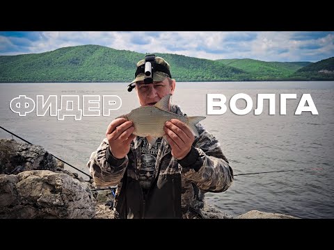 Видео: Рыбалка на Фидер. Река Волга, Самара, посёлок Красная Глинка. ЛесоБиржа