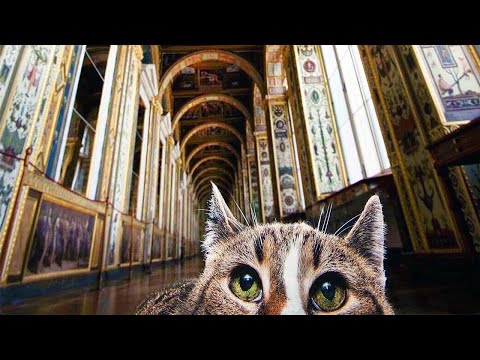 Видео: Тайная гвардия Эрмитажа | Несерьезные путешествия #Эрмитаж #Питер #путешествие