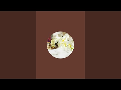 Видео: Favorite Reality в прямом эфире!