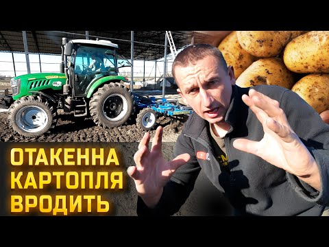 Видео: 🇺🇦Секрети урожаю квртоплі🥜 Турбомотоблок в ділі! Перше ТО мотоцикла Spark sp300-t3 #spark