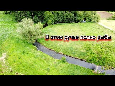 Видео: Вышли с Костей на реку за форелью. Полно мелкой форели. Обновил спиннинг.
