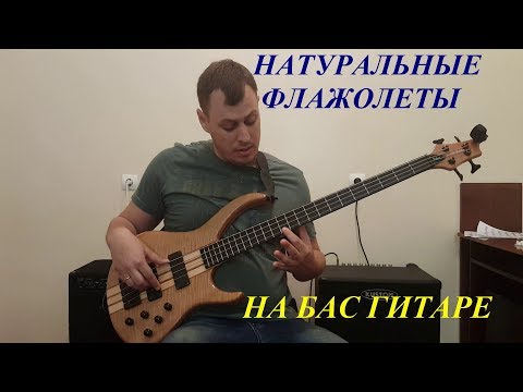 Видео: Уроки игры на бас гитаре // Натуральные флажолеты