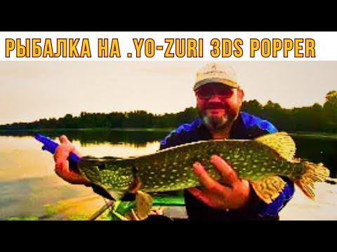 Видео: Рыбалка на замечательный  ВОБЛЕР .YO-ZURI 3DS POPPER