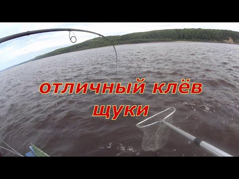 Видео: Рыбалка с лодки, отличный клёв хищника.