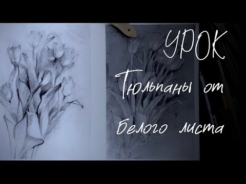 Видео: Тюльпаны. Часть 1. Рисунок от белого листа