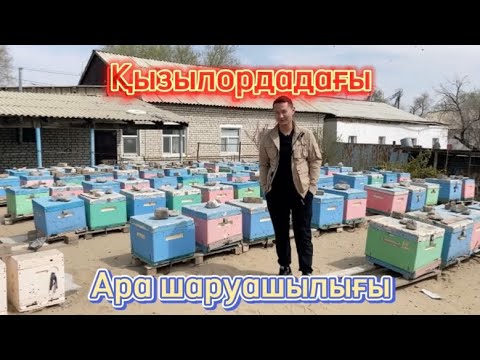Видео: Көктемде аралардың қарқынды дамуына қалай көмектесеміз?!