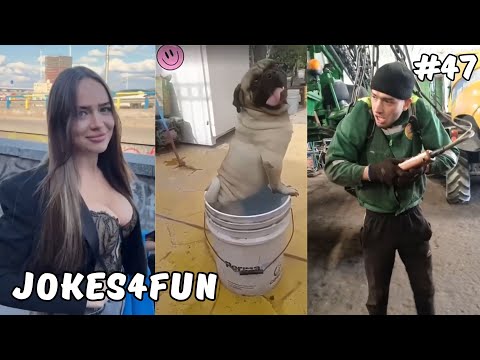 Видео: Самые Смешные Приколы из Coub/TikTok 2024 | Смех До Слёз #47