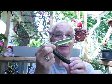 Видео: С Новым годом ! Бритьё опасной бритвой Iwasaki straight razor shaving. Happy New Year!
