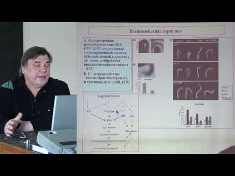 Видео: Носов А. М. - Физиология растений II - Сигнальные системы растений