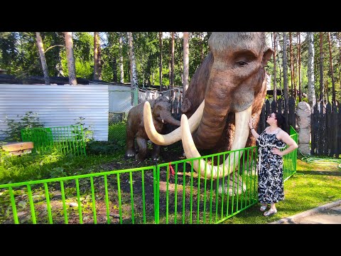 Видео: Сбылась мечта маленькой девочки. Знаменитый зоопарк "Роев ручей". Влог#7