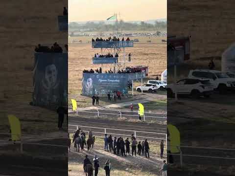 Видео: Нұрғиса Тілендиев 100 жылдық. Аламан бәйге. 1-ші ЖҰМЫРТҰЯҚ🐎🚘🏆