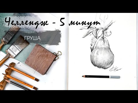 Видео: Груша за 5 минут простым карандашом. Рисуем регулярно. Быстрые наброски